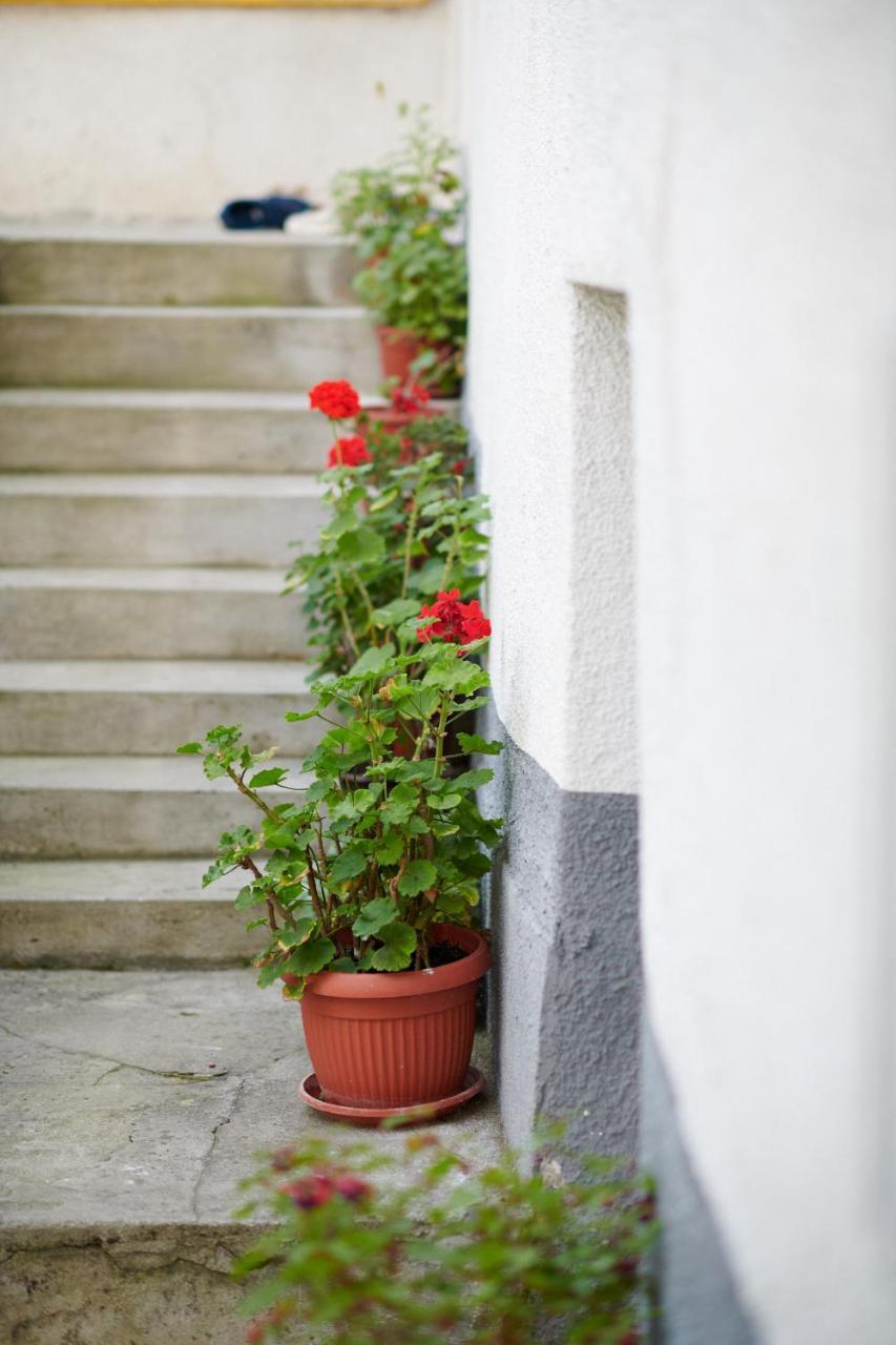 Lovely House Apartment Saraievo Exterior foto